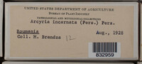 Image Associated With the Occurence